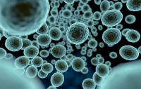 Several space missions are searching for extraterrestrial life, which could come in the form of microbes